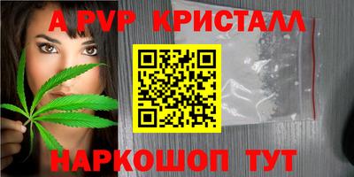 прущие грибы Конаково