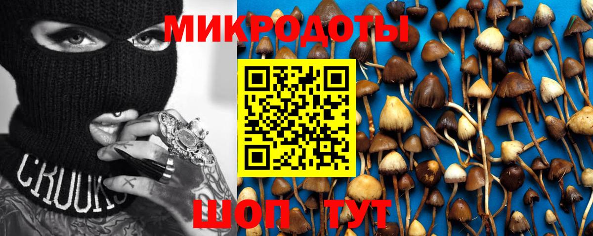 Псилоцибиновые грибы мицелий Красный Сулин